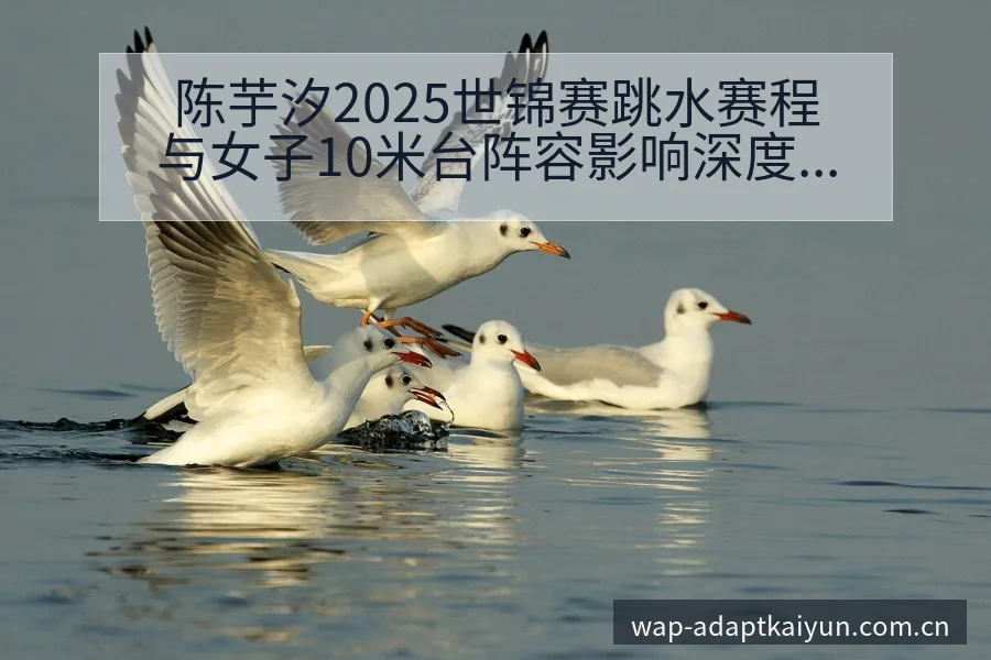陈芋汐2025世锦赛跳水赛程与女子10米台阵容影响深度分 - 开云APP
