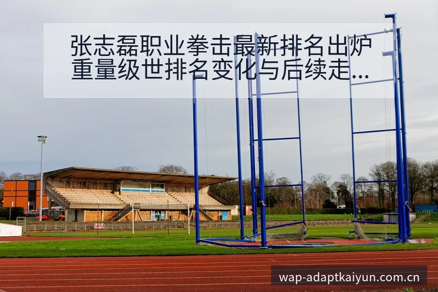 张志磊职业拳击最新排名出炉重量级世排名变化与后续走势战术 - 开云APP
